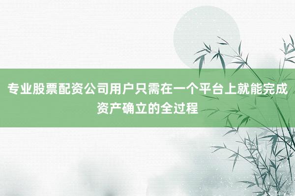 专业股票配资公司用户只需在一个平台上就能完成资产确立的全过程