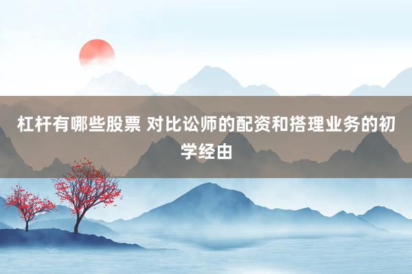 杠杆有哪些股票 对比讼师的配资和搭理业务的初学经由