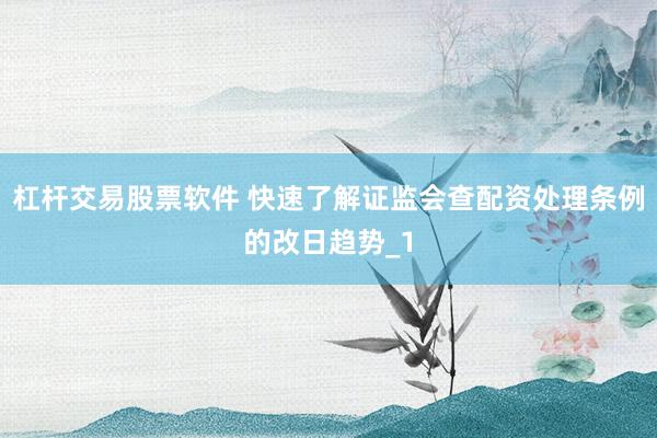 杠杆交易股票软件 快速了解证监会查配资处理条例的改日趋势_1